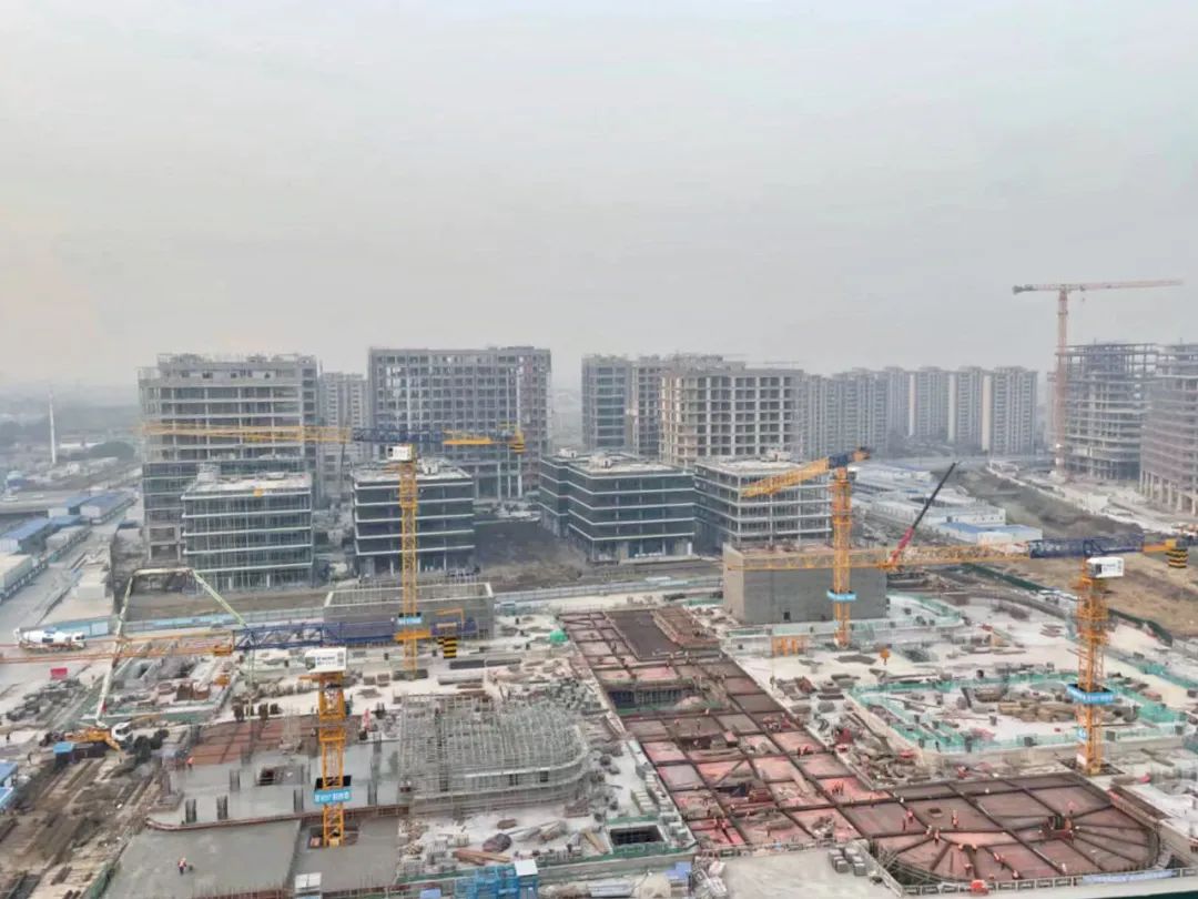 “大虹桥”区域内，这个重大产业项目新年新进展！